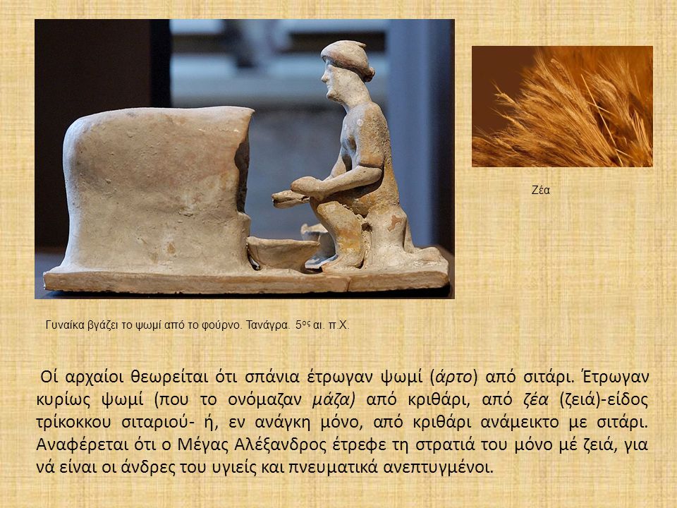 Η πόλη της Αθήνας ονομαζόταν Ζείδωρος γιατί τα εδάφη της χάριζαν στους κατοίκους το ντόπιο δημητριακό. Ακόμα, η μαρίνα της Ζέας στον Πειραιά ονομάστηκε έτσι επειδή από εκεί γινόταν η διακίνηση της ζέας προς τα άλλα λιμάνια. αλεύρι ζεας