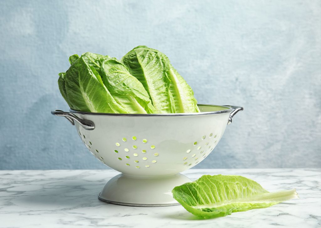 μαρούλα συντηρηση