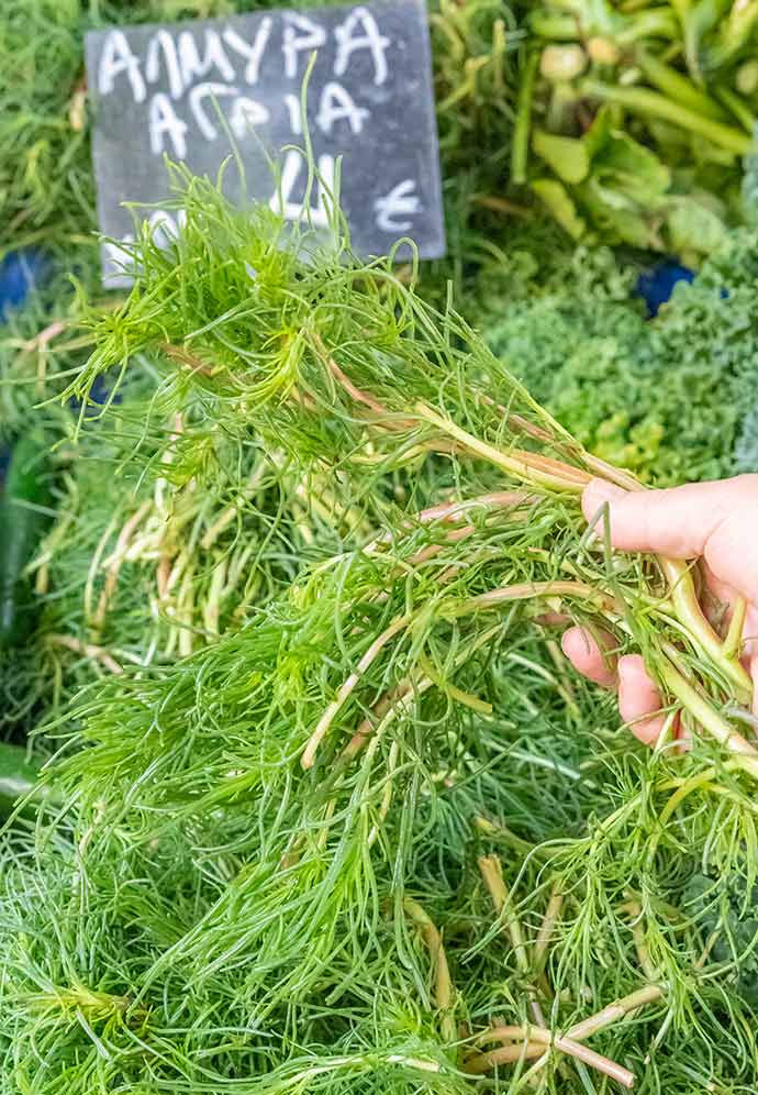 αλμυρα​ - αλμυρα χορτα