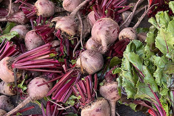 φυλλα παντζαριου συνταγεσ​