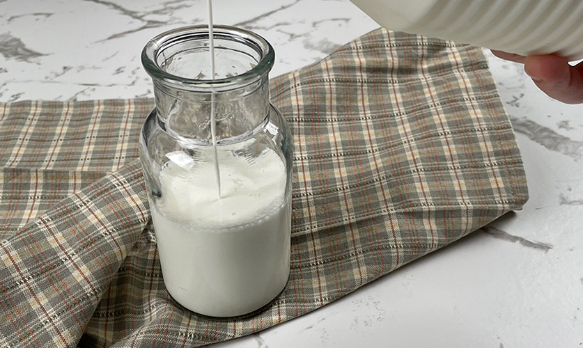 Πρόβειο γάλα: η σύστασή του και διαφορές από το αγελαδινό