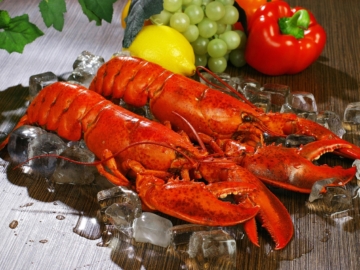 Αστακός- πώς από το γεύμα των φτωχών, έγινε το ακριβό σημερινό έδεσμα