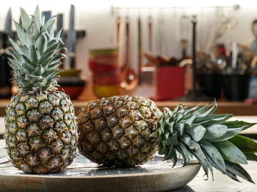 Καλλιέργεια ανανά σε γλάστρα μέσα στο σπίτι, του Κώστα Λιονουδάκη