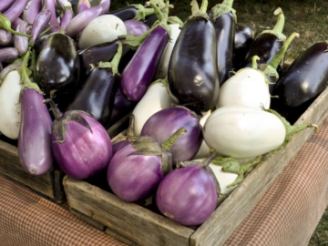 Μάθε για τις ιδιότητες και το ξεπίκρισμα μελιτζάνας