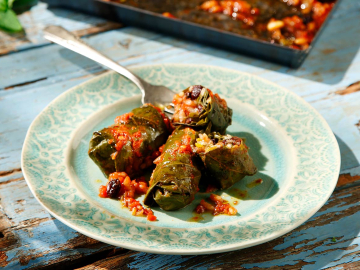 Ντολμαδάκια γιαλαντζί πολίτικα