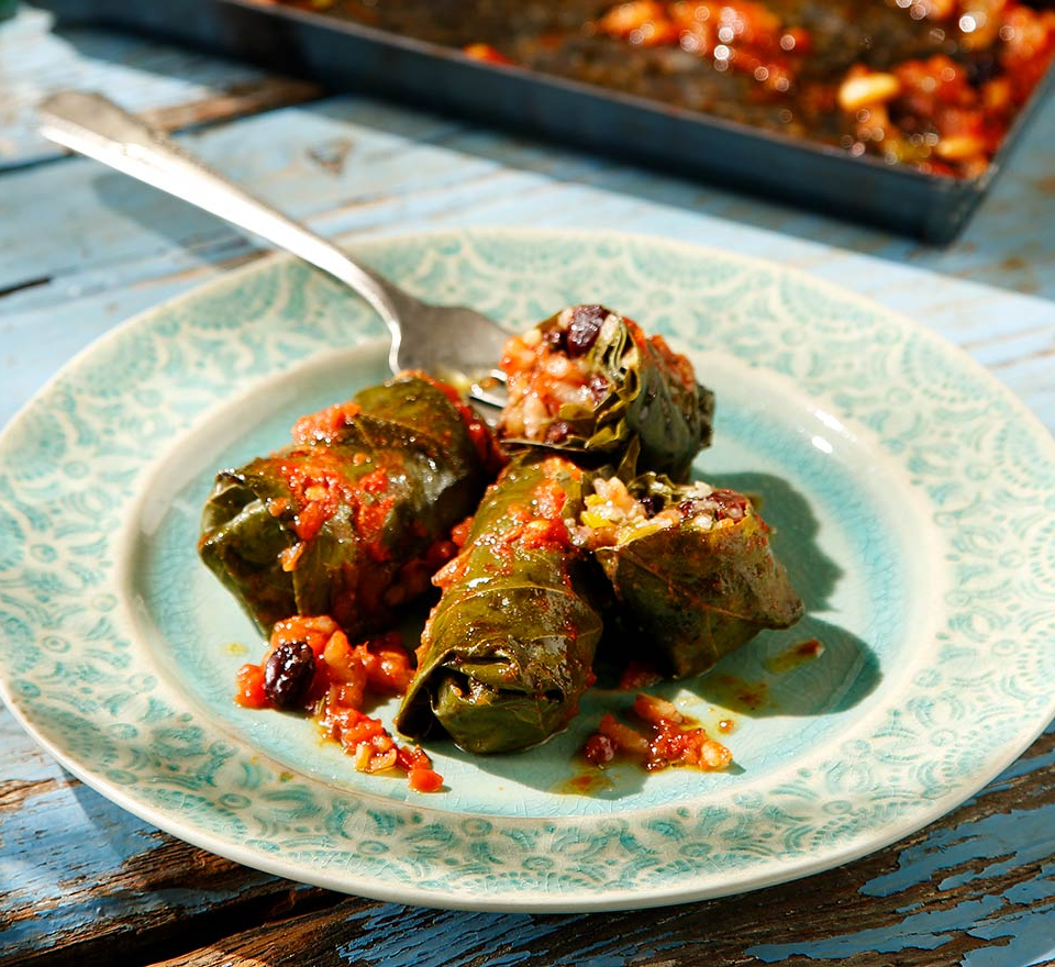 ντολμαδακια γιαλαντζι αργυρω - ντολμαδακια γιαλαντζι πολιτικα