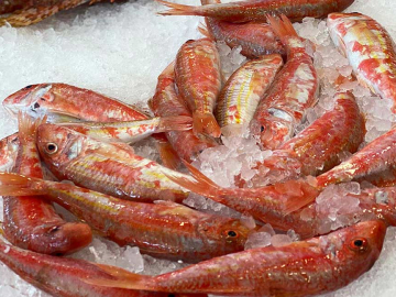 Πως θα διαλέγετε φρέσκα ψάρια