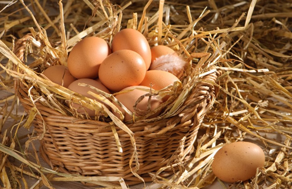 αυγά - αυγό - φρέσκο αυγό - μπαγιάτικο αυγό - φρέσκα αυγά - μπαγιάτικα αυγά