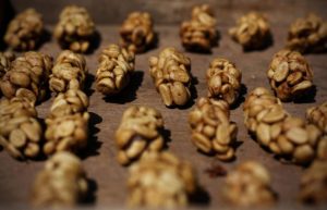 Καφές Kopi Luwak