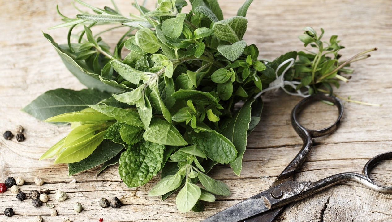 Φρέσκα μυρωδικά στην κατάψυξη από την Αργυρώ Μπαρμπαρίγου