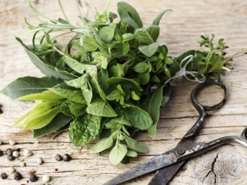 Πώς να διατηρήσουμε τα φρέσκα μυρωδικά στην κατάψυξη