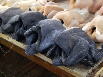 Τι είναι το μαύρο κοτόπουλο;