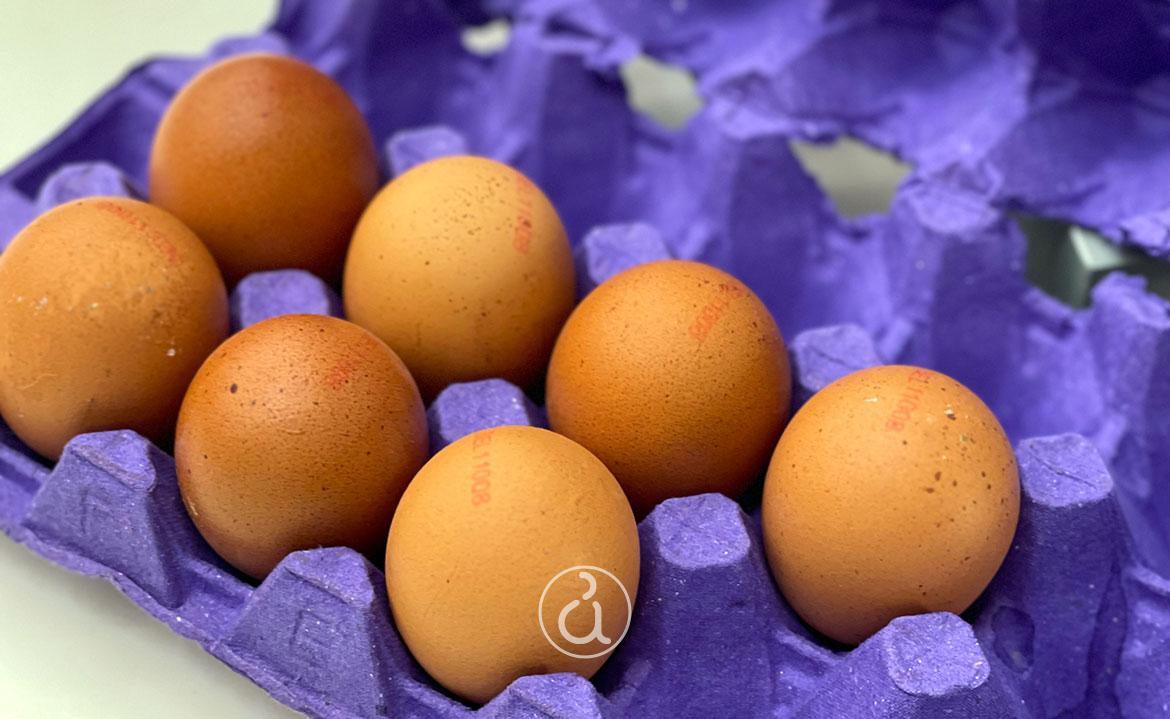 παστερίωση αυγών