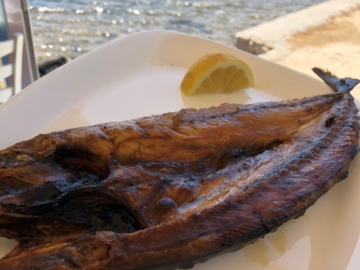 Κολιός η περίφημη Γούνα Πάρου