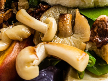 Μάθε για το μανιτάρι