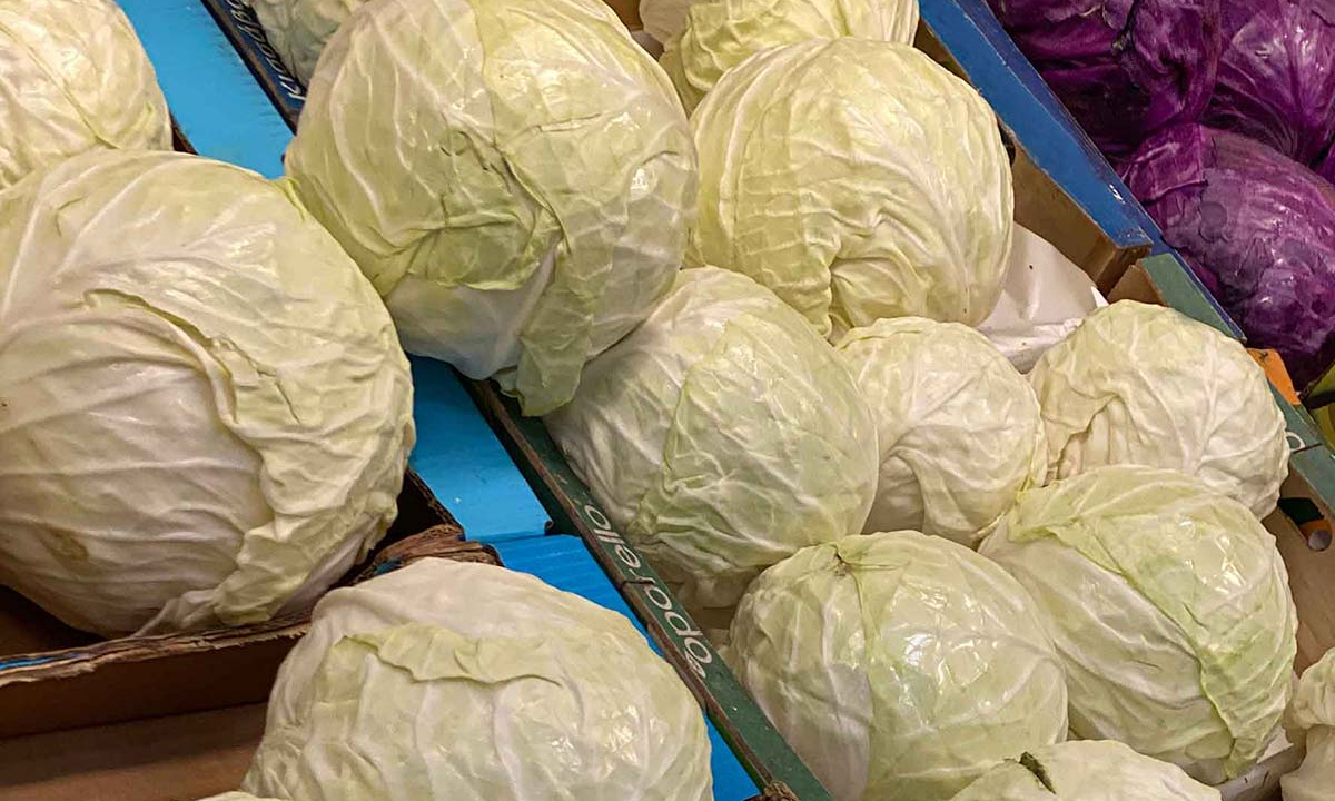 λαχανο - λαχανο ιδιοτητεσ - λαχανο διατροφικη αξια