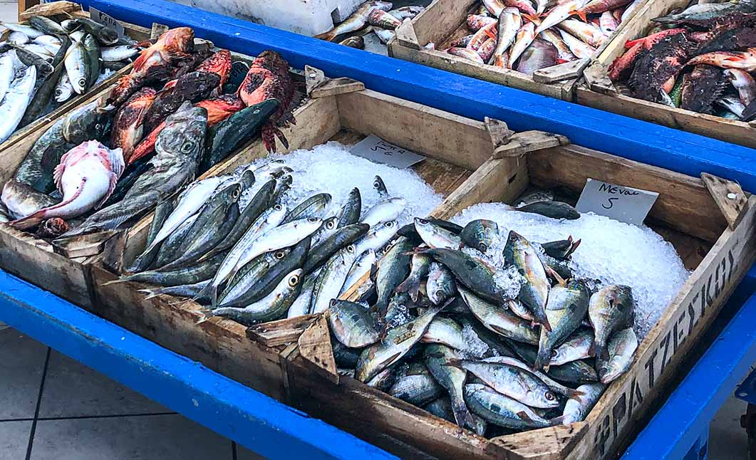 Μαθε για τα : Ψαρια εποχης, ποτε θα βρεις το καταλληλοτερο