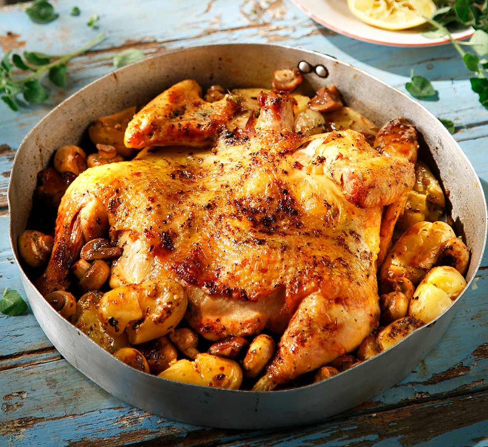 κοτοπουλο σχαρασ - κοτοπουλο πεταλουδα