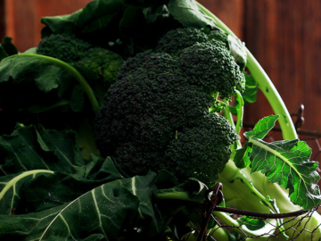 Μπρόκολο: Θερμίδες, ιδιότητες και οφέλη για την υγεία