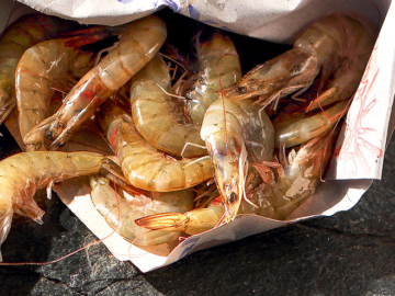 Μάθε για τις γαρίδες και τις θερμίδες τους