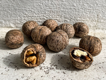 Καρύδια θρεπτική αξία