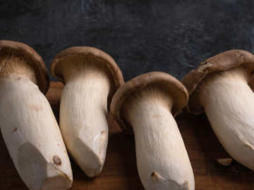 Μανιτάρια Πορτσίνι