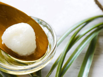 Βούτυρο καρύδας: Πώς παράγεται και ή θρεπτική του αξία