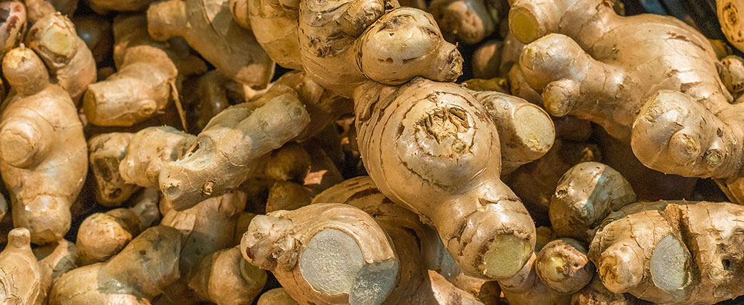 Ginger
