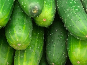 Αγγούρια: σωστή επιλογή, συντήρηση και αποθήκευση
