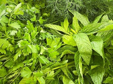 Πότε χρησιμοποιούμε τα μυρωδικά;