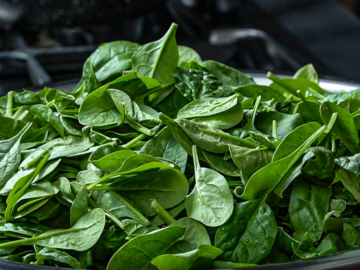 Σπανάκι: σωστή συντήρηση, αποθήκευση και επιλογή