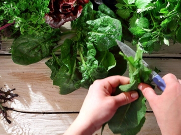 Χόρτα: Επιλογή Καθάρισμα και Συντήρηση