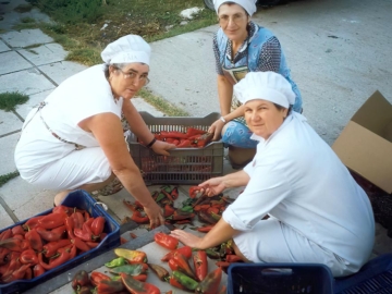 Η Γαία, Αγροτικός Συνεταιρισμός Γυναικών Τριγώνου