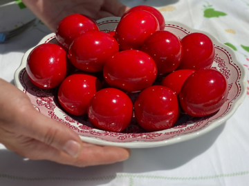 Τι συμβολίζει το κόκκινο αυγό του Πάσχα