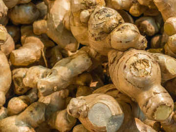 Μάθετε τα πάντα για το τζίντζερ