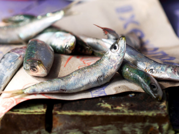 Ποιες τροφές περιέχουν ω-3 λιπαρά και ποια τα οφέλη τους