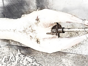 Σούβλες και Σούβλισμα: Μια πανάρχαια μαγειρική τεχνική