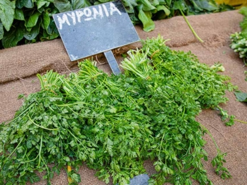 Τα λαχανικά και τα μυρωδικά του Πάσχα