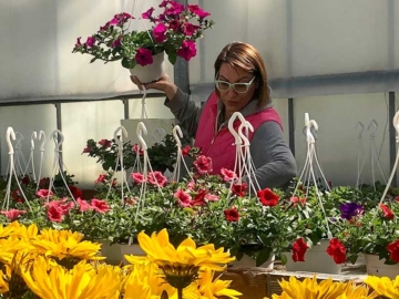 Κατερίνη: Το φυτώριο της Έφης Παπαδοπούλου που ξεχωρίζει για τα αρώματα και τα χρώματά του