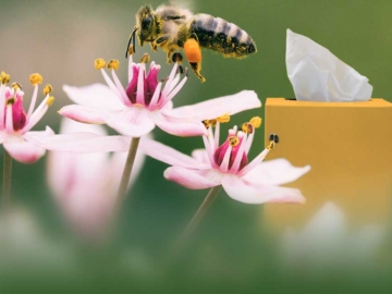 Ανοιξιάτικες αλλεργίες και διατροφικά όπλα στην αντιμετώπισή τους