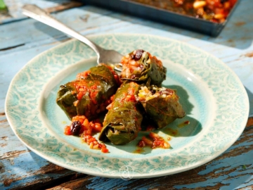 Ντολμαδάκια γιαλαντζί πολίτικα