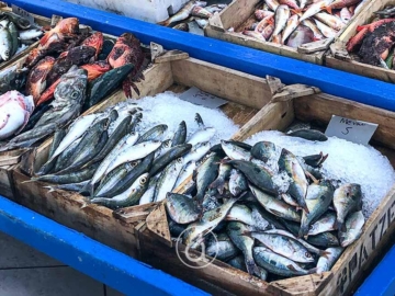 Μάθε για τα ψάρια εποχής, πότε θα βρεις το καταλληλότερο