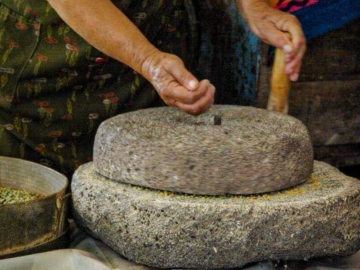 Σχοινούσα: Ο σπόρος της φάβας που έφερε την ανάπτυξη στο νησί