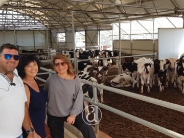 Σύρος: Ελληνικό παραδοσιακό τυροκομείο “Ζωζεφίνος”