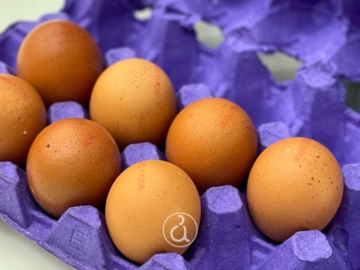 Παστερίωση αυγών: Όλα τα μυστικά