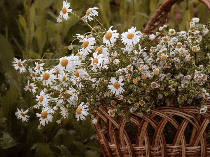 Σάββατο του Λαζάρου: Ήθη και έθιμα