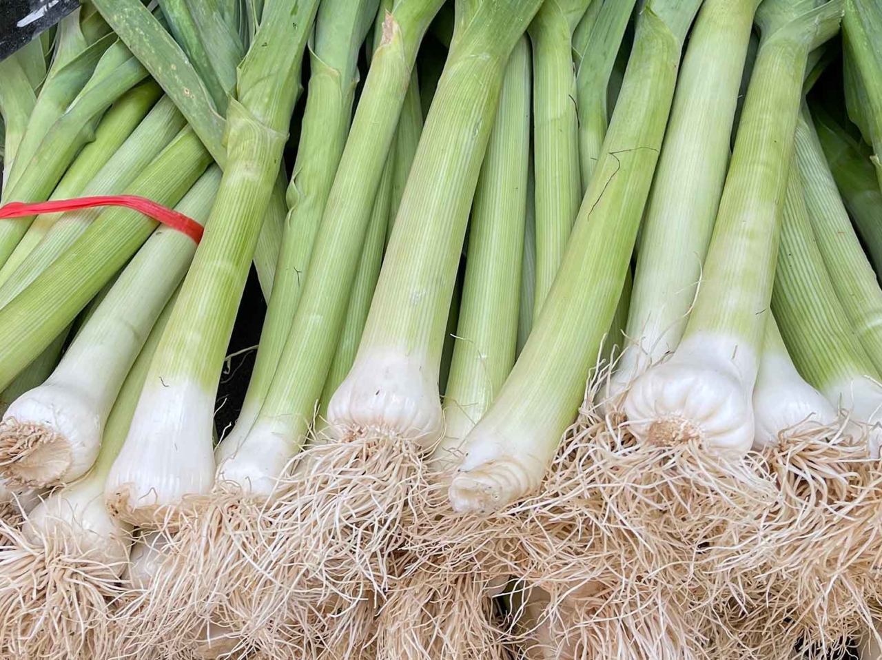 Πώς να κόψεις και να καθαρίσεις τα πράσα