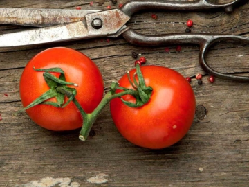 Πώς να κόψετε τη ντομάτα