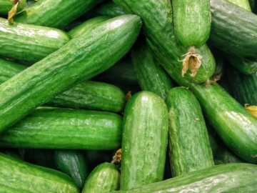 Αγγούρι ιδιότητες