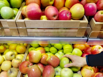 Τα μήλα και οι ποικιλίες τους